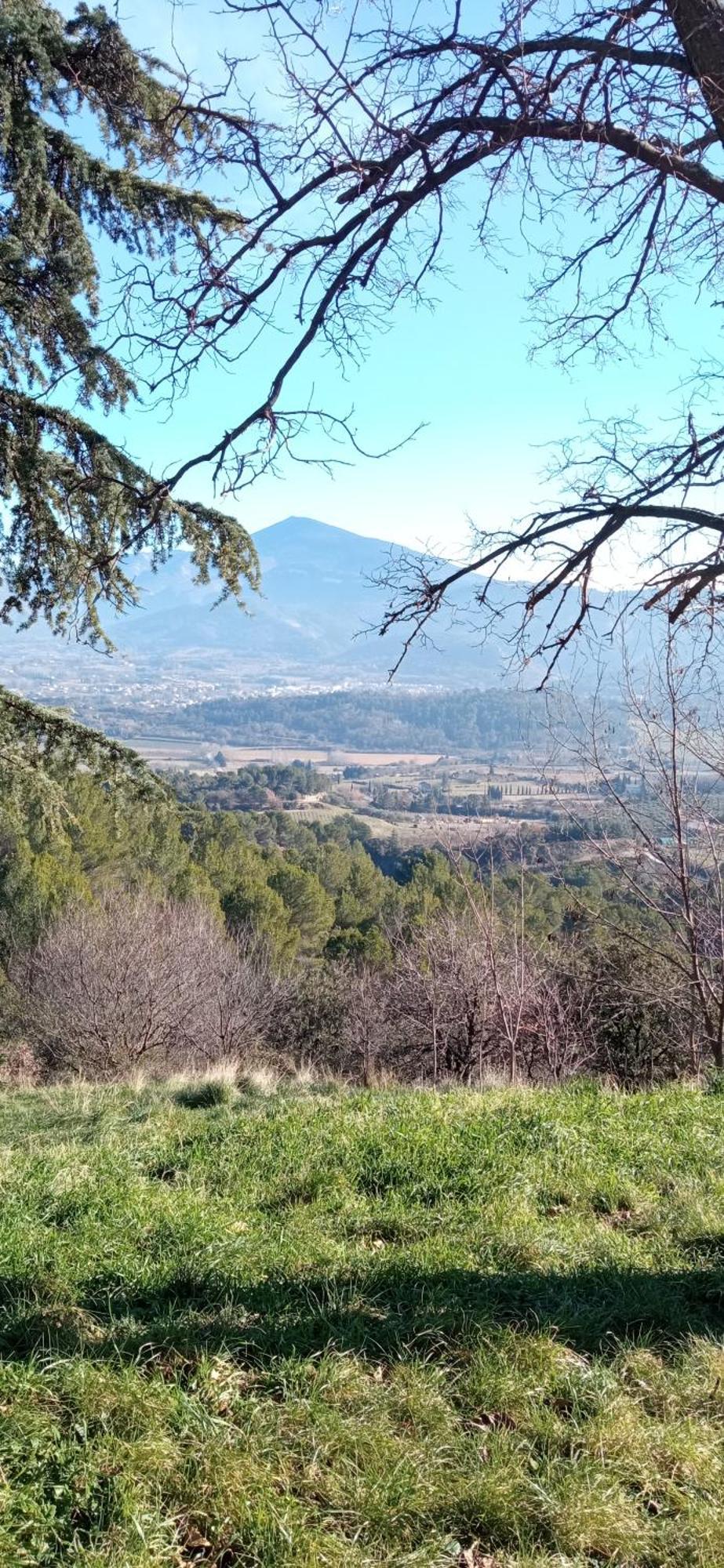 Studio Tout Confort En Provence Mont Ventoux. Bédoin Zewnętrze zdjęcie