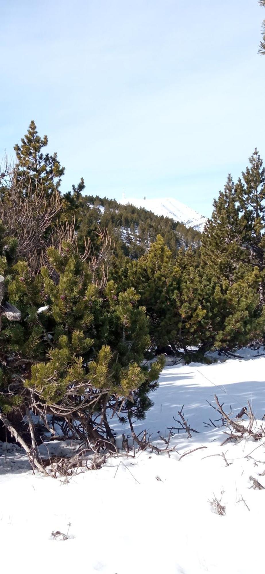 Studio Tout Confort En Provence Mont Ventoux. Bédoin Zewnętrze zdjęcie
